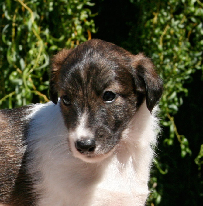 Surf Spots - Girl 1 Face